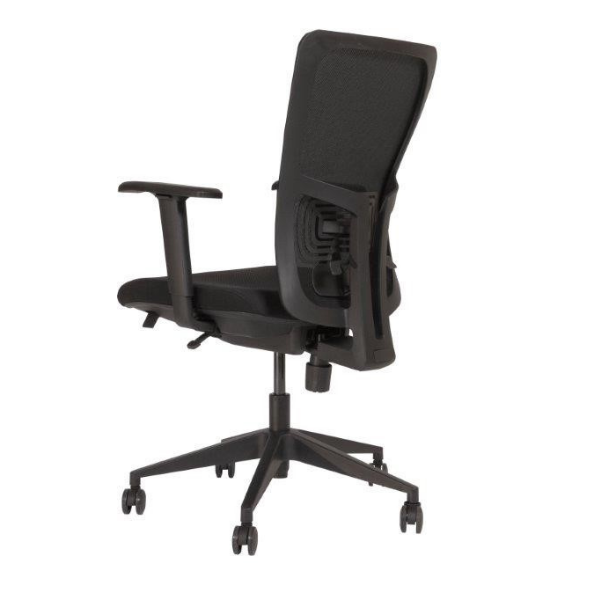 Office chair 250 NEN