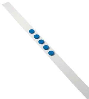 Dahle wandlijst van 1 meter met vijf blauwe magneten van 32 mm