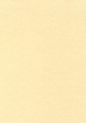 Pak Decadry structuurpapier A4 in champagnekleur van 165 g/m² met 50 vel