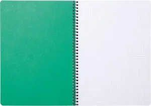 Clairefontaine Forever spiraalschrift A4 - 90 g/m², geruit 5 mm, 120 bladzijden, groen — productfoto 2