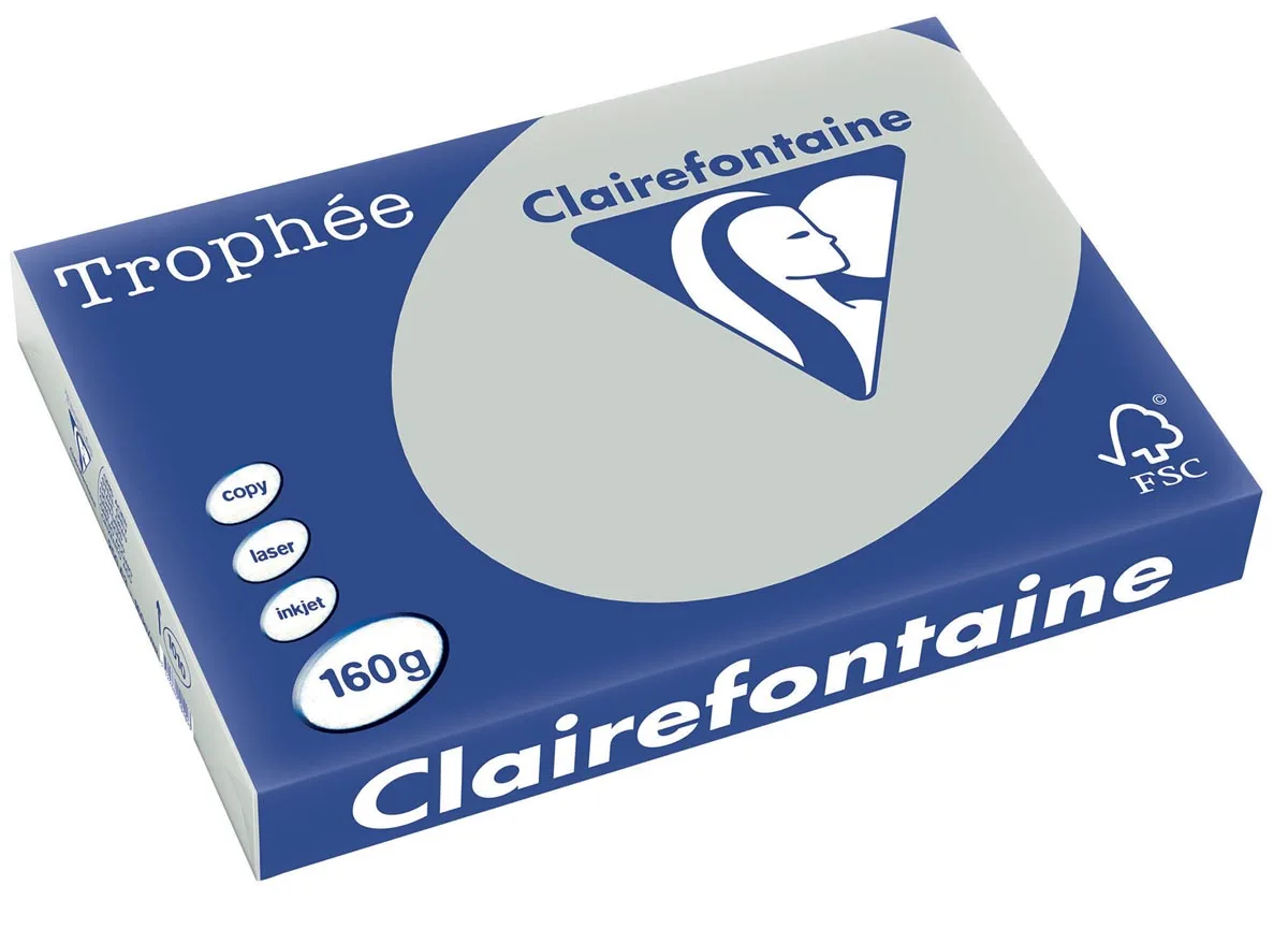 Pak Clairefontaine Trophée Pastel gekleurd papier A3 van 160 g/m² in lichtgrijs, 250 vel