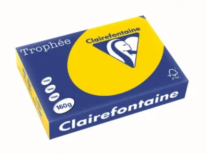Pak Clairefontaine Trophée Pastel gekleurd papier A4 van 160 g/m² in goudgeel