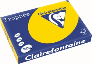 Pak Clairefontaine Trophée Pastel gekleurd papier A3 van 160 g/m² in goudgeel