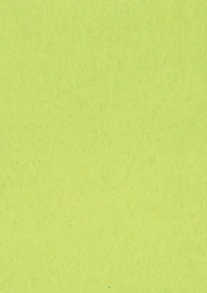 Gekleurd tekenpapier, 120 g, ft 21 x 29,7, A4, lichtgroen, pak van 500 vel