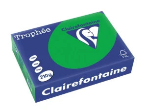 Clairefontaine Trophée Intens, gekleurd papier, A4, 210 g, 250 vel, bijartgroen