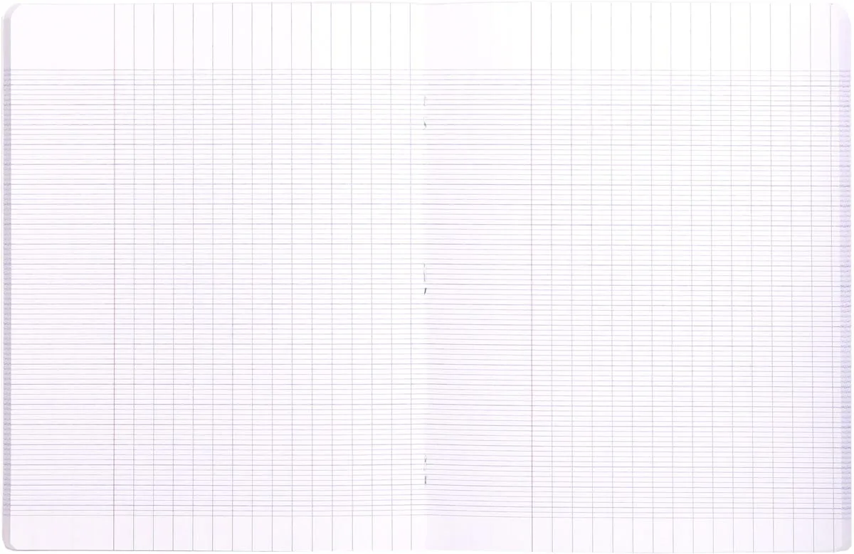 Clairefontaine schrift Mimesys voor ft A4+, 96 bladzijden, kaft in PP, seyès, blauw — detail 2