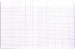 Clairefontaine schrift Mimesys voor ft A4+, 96 bladzijden, kaft in PP, seyès, transparant — detail 2