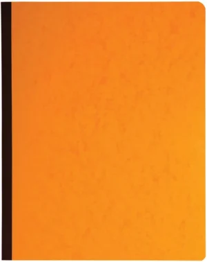 Exacompta registers, ft 32 x 25 cm, 4 kolommen op 1 bladzijde, 31 lijnen, 80 bladzijden — detail 2