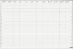 Desq jaarplanner Ultra Thin, magnetisch, ft 60 x 90 cm — planbord