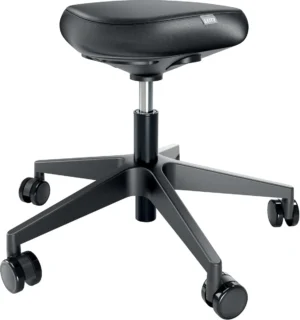 Leitz Ergo actieve Zitkruk met comfortzitting, met wieltjes, zwart