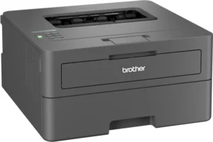 Brother zwart-wit laserprinter HL-L2400DWE